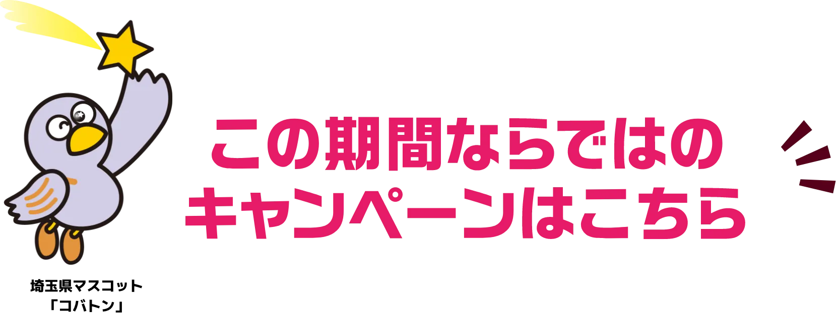 この期間ならではのキャンペーンはこちら